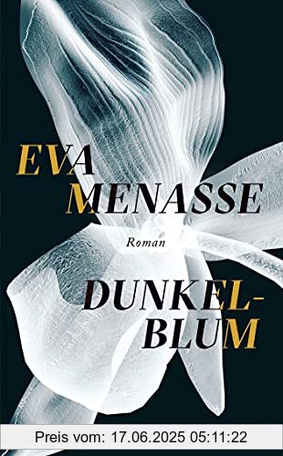 Binding : Gebundene Ausgabe, Edition : 1., Label : Kiepenheuer&Witsch, Publisher : Kiepenheuer&Witsch, medium : Gebundene Ausgabe, numberOfPages : 528, publicationDate : 2021-08-19, releaseDate : 2021-08-19, authors : Eva Menasse, ISBN : 3462047906