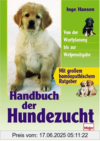 Binding : Gebundene Ausgabe, Label : Müller Rüschlikon, Publisher : Müller Rüschlikon, medium : Gebundene Ausgabe, publicationDate : 2003-01-01, authors : Inge Hansen, languages : german, ISBN : 3275013076