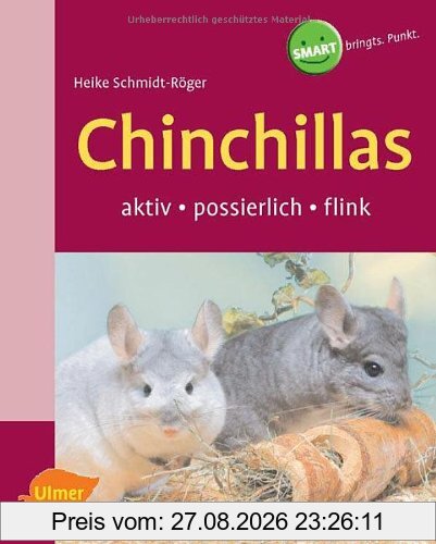Chinchillas: Aktiv - possierlich - flink