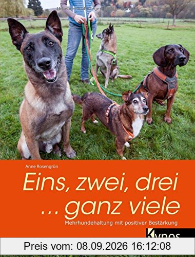 Eins, zwei, drei ... ganz viele: Mehrhundehaltung mit positiver Bestärkung