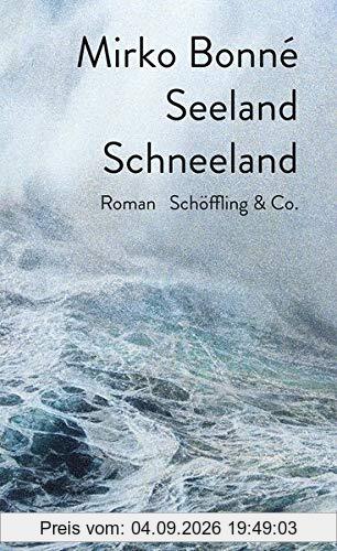 Seeland Schneeland: Roman