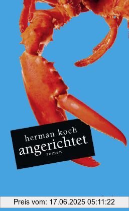 Binding : Gebundene Ausgabe, Edition : 7, Label : Kiepenheuer&Witsch, Publisher : Kiepenheuer&Witsch, medium : Gebundene Ausgabe, numberOfPages : 320, publicationDate : 2010-08-19, authors : Herman Koch, translators : Heike Baryga, languages : german, ISBN : 3462041835