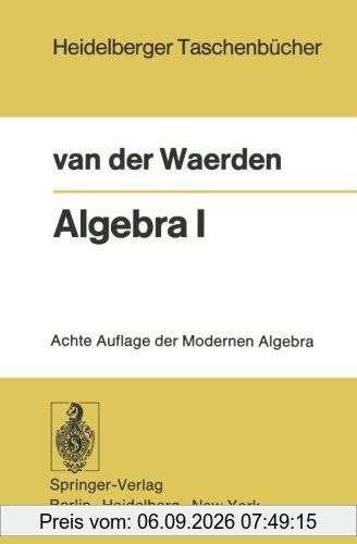 Algebra I (Heidelberger Taschenbücher)