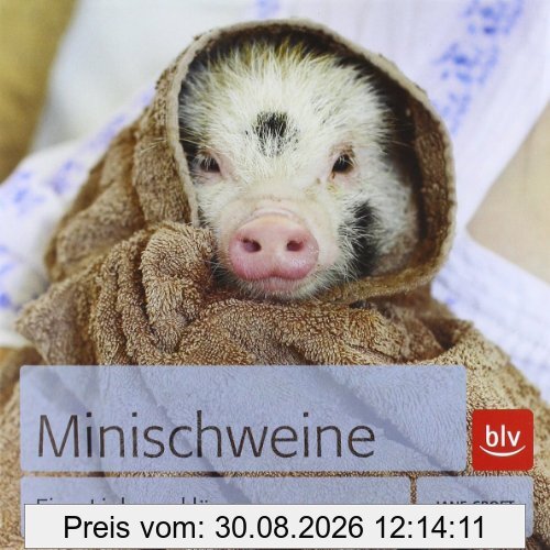 Minischweine: Eine Liebeserklärung