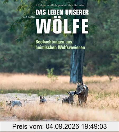 Das Leben unserer Wölfe: Beobachtungen aus heimischen Wolfsrevieren