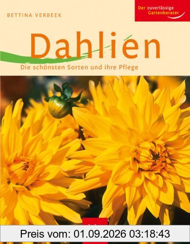 Dahlien: Die schönsten Sorten und ihre Pflege