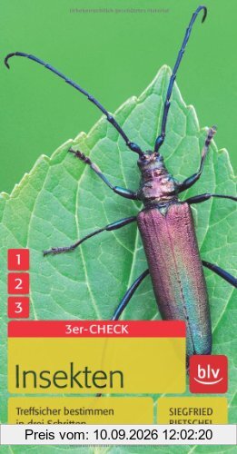 Insekten: Treffsicher bestimmen in drei Schritten