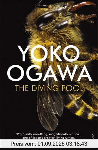 The Diving Pool