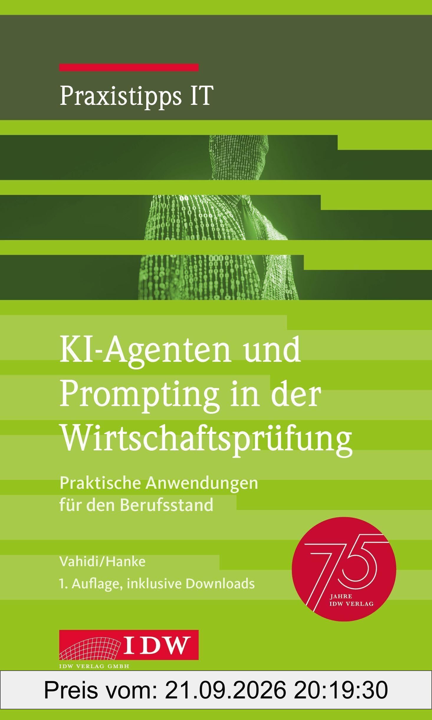 KI-Agenten und Prompting in der Wirtschaftsprüfung