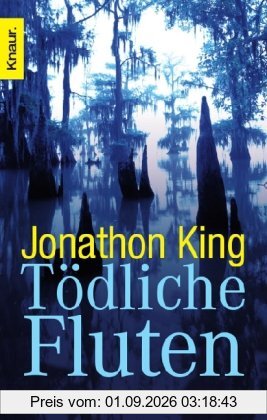 Tödliche Fluten: Thriller