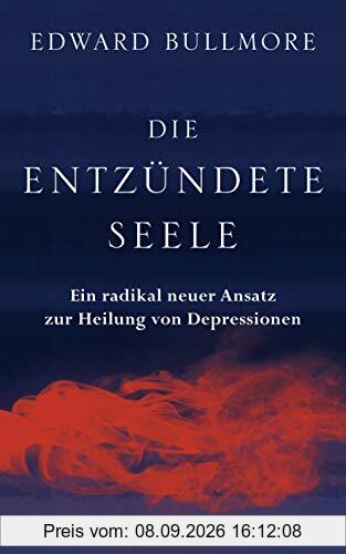 Die entzündete Seele: Ein radikal neuer Ansatz zur Heilung von Depressionen