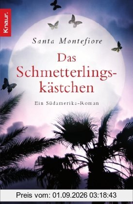 Das Schmetterlingskästchen: Ein Südamerika-Roman