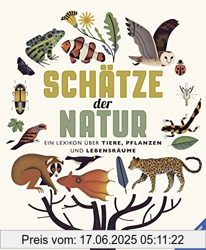 Binding : Gebundene Ausgabe, Edition : 1, Label : Ravensburger Buchverlag, Publisher : Ravensburger Buchverlag, medium : Gebundene Ausgabe, numberOfPages : 112, publicationDate : 2016-09-20, authors : Mike Jolley, Amanda Wood, translators : Wolfgang Hensel, languages : german, ISBN : 3473550841