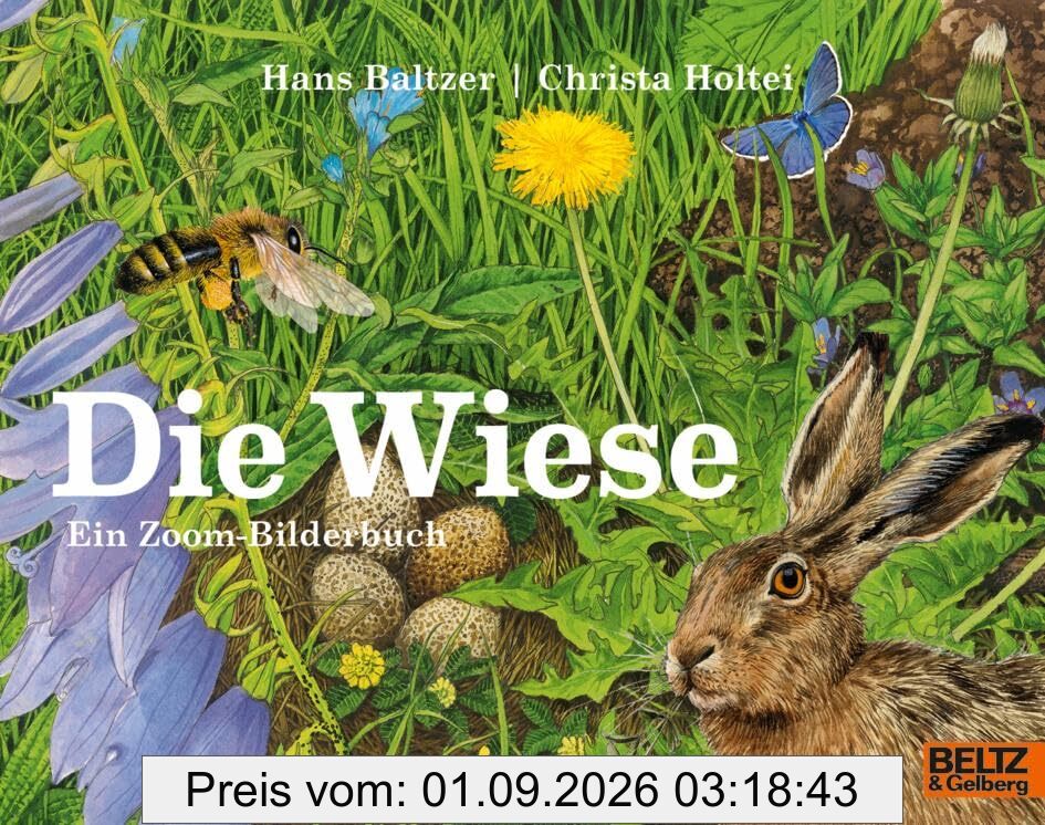 Die Wiese: Ein Zoom-Bilderbuch