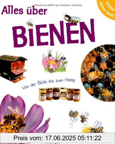 Brand : Unbekannt, Binding : Gebundene Ausgabe, Edition : 1, Label : Esslinger Verlag J. F. Schreiber, Publisher : Esslinger Verlag J. F. Schreiber, medium : Gebundene Ausgabe, numberOfPages : 40, publicationDate : 2008-01-21, authors : Sophie Lebot, Pascale Hédelin, translators : Anne Brauner, languages : german, ISBN : 3480223354