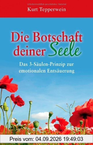 Die Botschaft deiner Seele: Das 3-Säulen-Prinzip der emotionalen Entsäuerung: Das 3-Säulen-Prinzip der emotionalen Entsäuerung