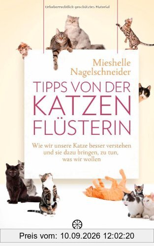 Tipps von der Katzenflüsterin: Wie wir unsere Katze besser verstehen und sie dazu bringen, zu tun, was wir wollen
