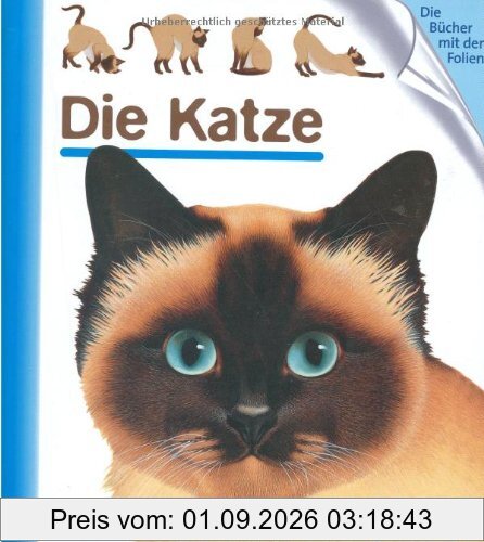 Die Katze