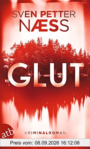 Glut: Kriminalroman (Team Oslo ermittelt, Band 1)