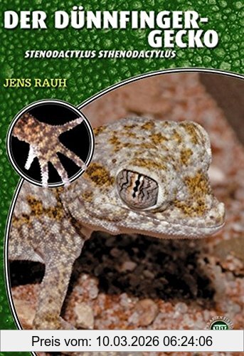 Jens Rauh Der Dünnfingergecko, Stenodactylus Stenodactylus (Art Für Art / Terraristik)