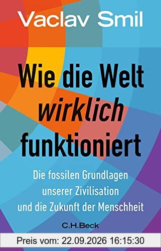 Wie die Welt wirklich funktioniert: Die fossilen Grundlagen unserer Zivilisation und die Zukunft der Menschheit (Beck Paperback)