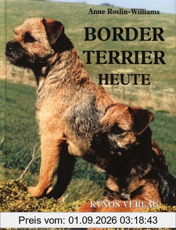 Border Terrier heute