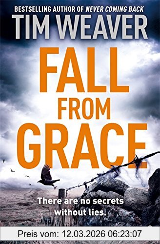 Tim Weaver Fall From Grace, David Raker Novel #5 (David Raker 5, Band 5)