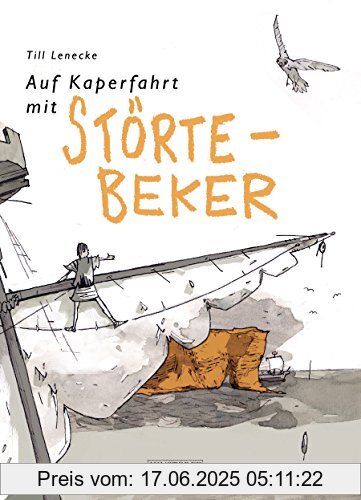 Binding : Taschenbuch, Edition : 1, Label : Hinstorff, Publisher : Hinstorff, Format : Ungekürzte Ausgabe, medium : Taschenbuch, numberOfPages : 112, publicationDate : 2016-10-01, authors : Till Lenecke, languages : german, ISBN : 3356020404