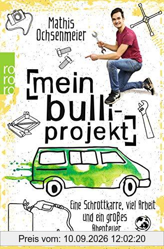 Mein Bulli-Projekt: Eine Schrottkarre, viel Arbeit und ein großes Abenteuer