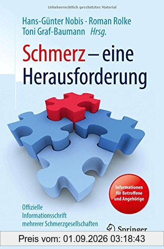 Schmerz - eine Herausforderung: Informationen für Betroffene und Angehörige - Offizielle Informationsschrift mehrerer Schmerzgesellschaften