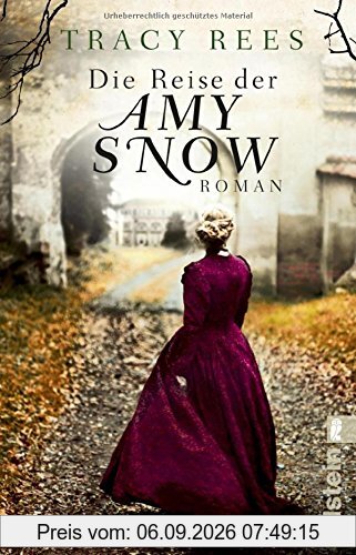 Die Reise der Amy Snow: Roman