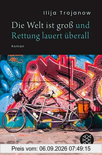 Die Welt ist groß und Rettung lauert überall: Roman
