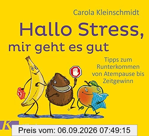 Hallo Stress, mir geht es gut: Tipps zum Runterkommen von Atempause bis Zeitgewinn
