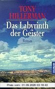Das Labyrinth der Geister