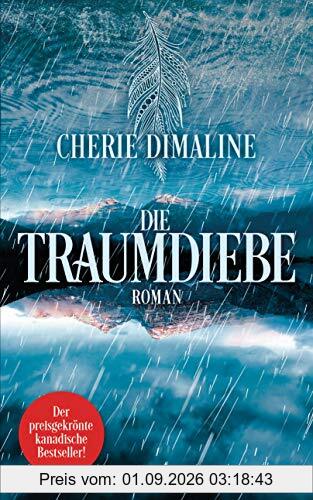 Die Traumdiebe: Roman
