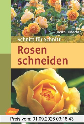 Rosen schneiden: Schnitt für Schnitt