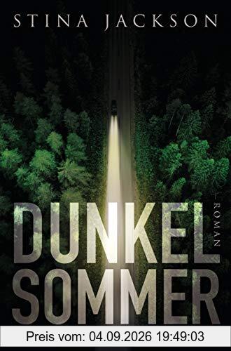 Dunkelsommer: Roman