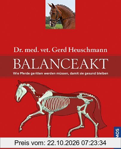 Balanceakt: Wie Pferde geritten werden müssen, damit sie gesund bleiben