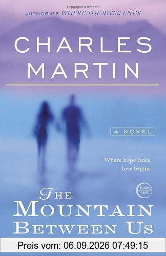 The Mountain Between Us: A Novel