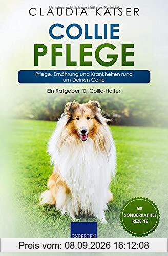 Collie Pflege: Pflege, Ernährung und Krankheiten rund um Deinen Collie