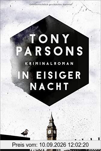 In eisiger Nacht: Detective Max Wolfes vierter Fall. Kriminalroman (DS-Wolfe-Reihe, Band 4)