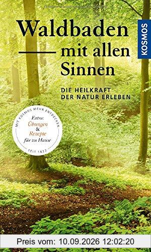 Waldbaden mit allen Sinnen: Die Heilkraft der Natur erleben