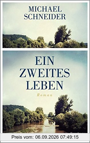 Ein zweites Leben: Roman