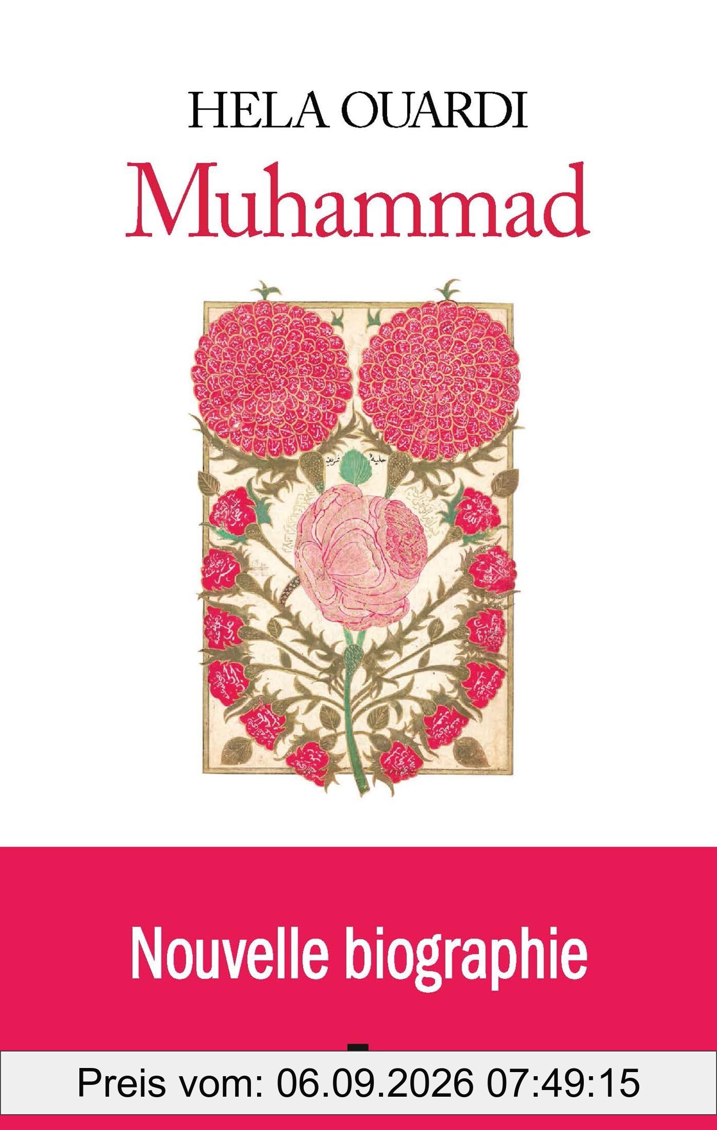 Muhammad : nouvelle biographie