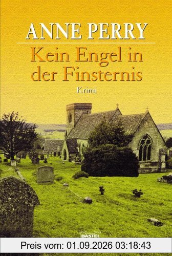 Kein Engel in der Finsternis: Kriminalroman