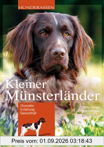 Kleiner Münsterländer: Charakter, Erziehung und Gesundheit