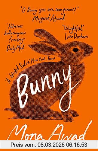Mona Awad Bunny