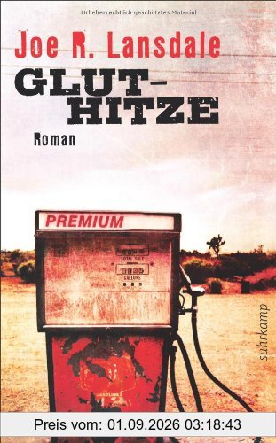 Gluthitze: Roman (suhrkamp taschenbuch)