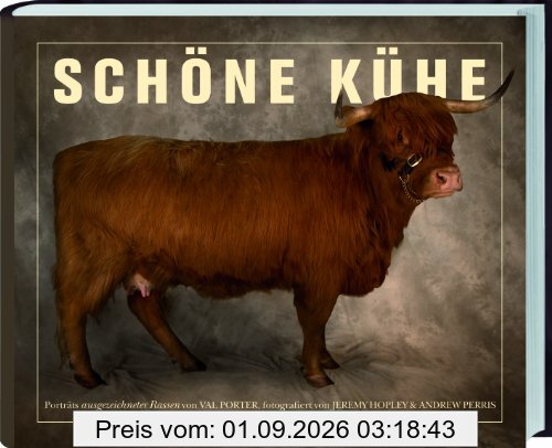 Schöne Kühe