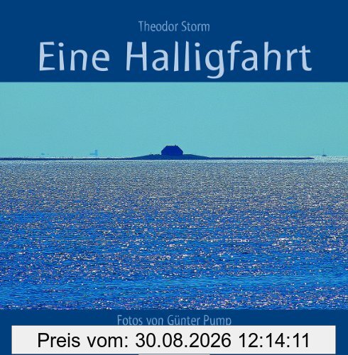 Eine Halligfahrt: Novelle